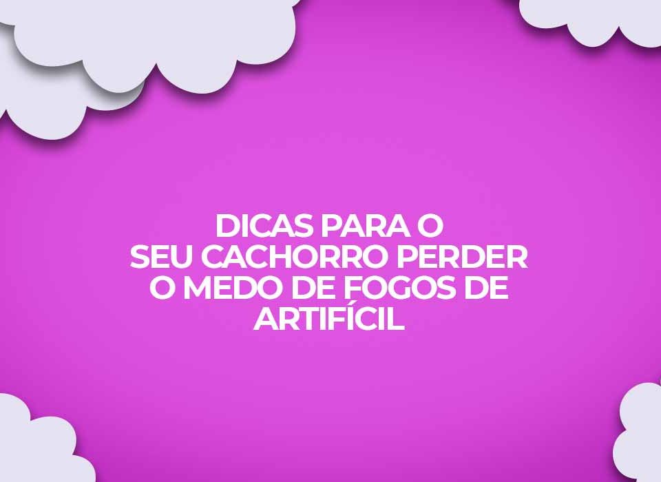 dicas cachorro medo fogos artificio