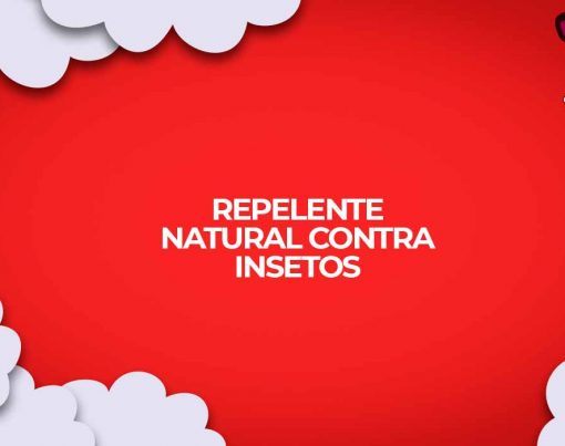 repelente natural citrico e cravos