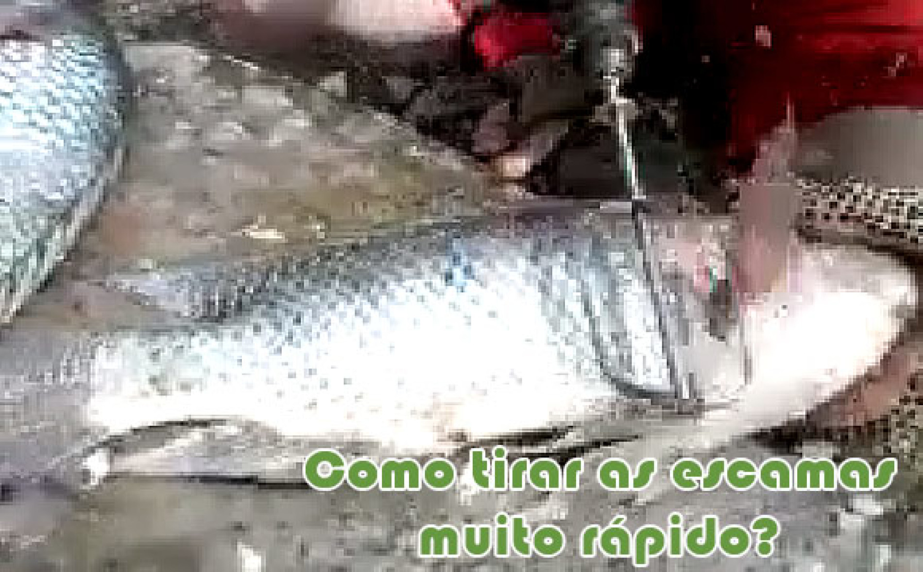O Que Significa Tirar A Barrigada De Peixe