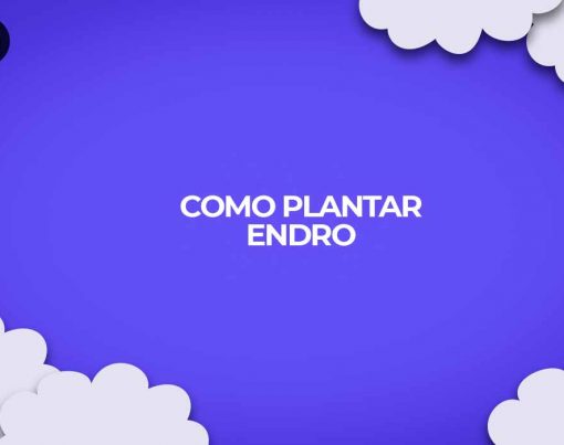 como plantar endro