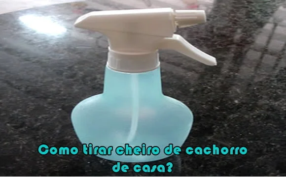 como tirar cheiro de cachorro de casa