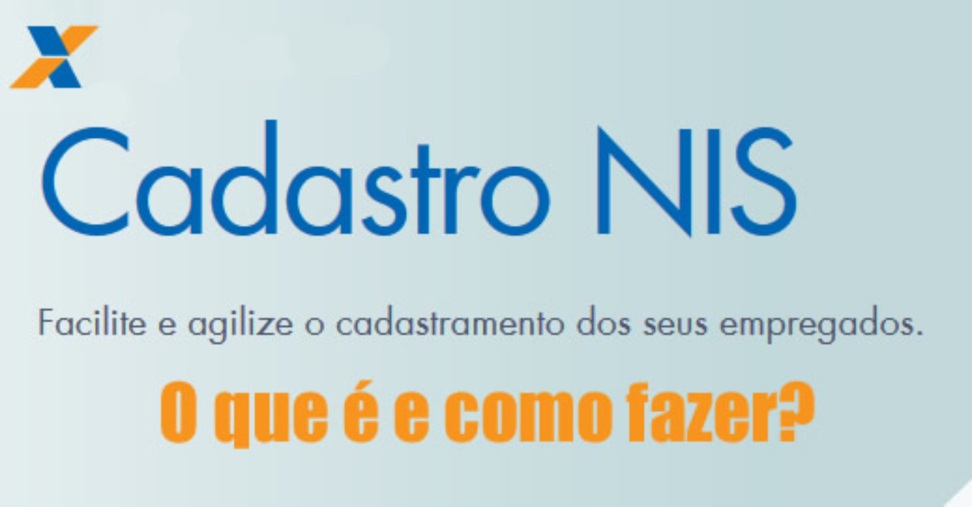 Como Fazer O Cadastro Nis Online Informações 9299