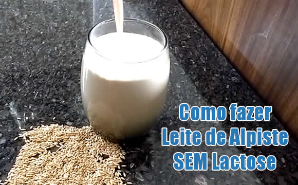como fazer leite alpiste sem lactose