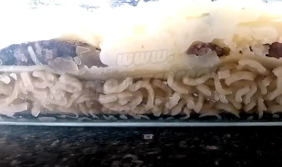 Escondidinho de miojo receita completa