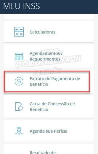 extrato de pagamento de beneficio