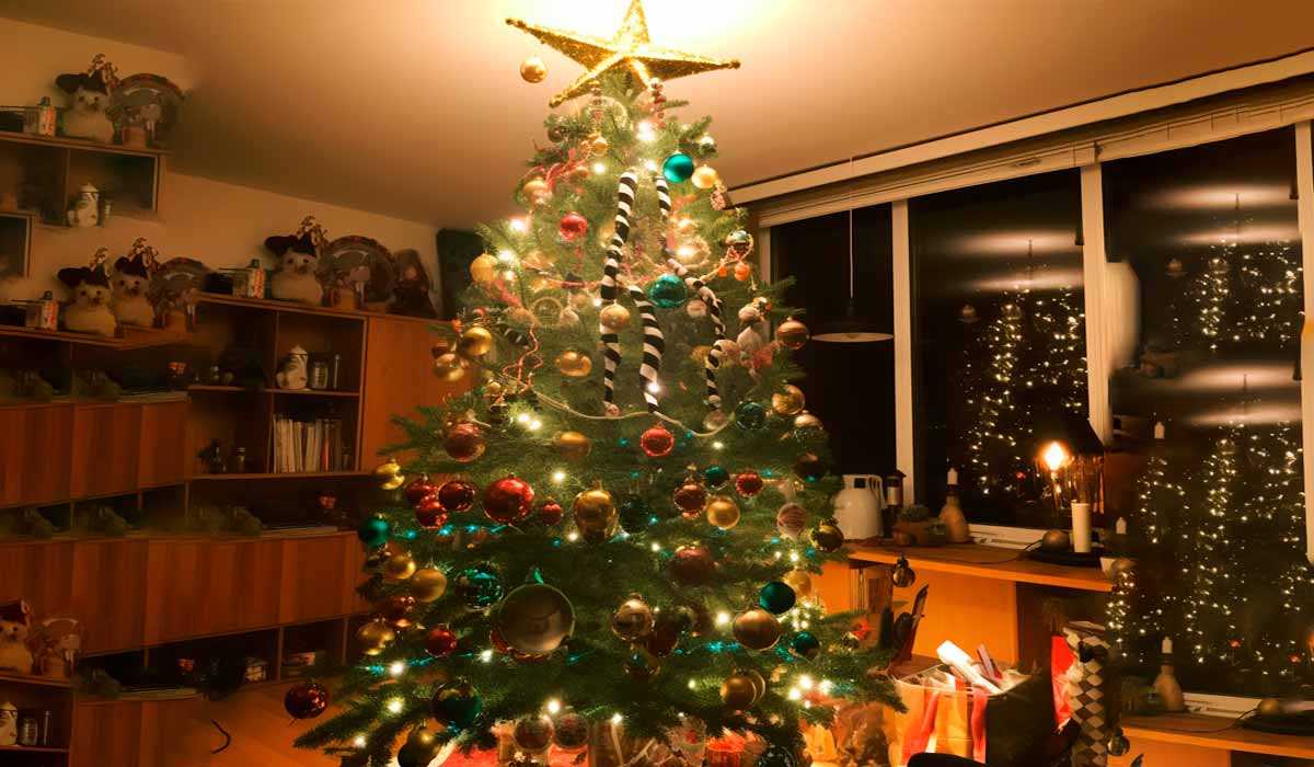 Como fazer para trocar os presentes de Natal e amigo secreto nas lojas físicas e online.
