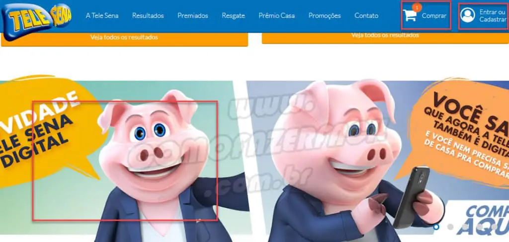 Acessando o site da Tele Sena para comprar a versão online.