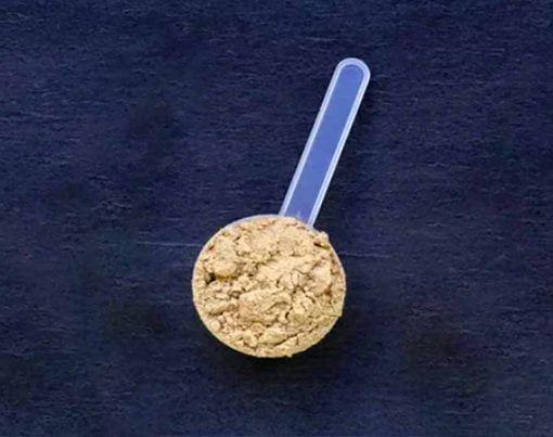 Como-fazer-Whey-Protein-Caseiro-para-dietas