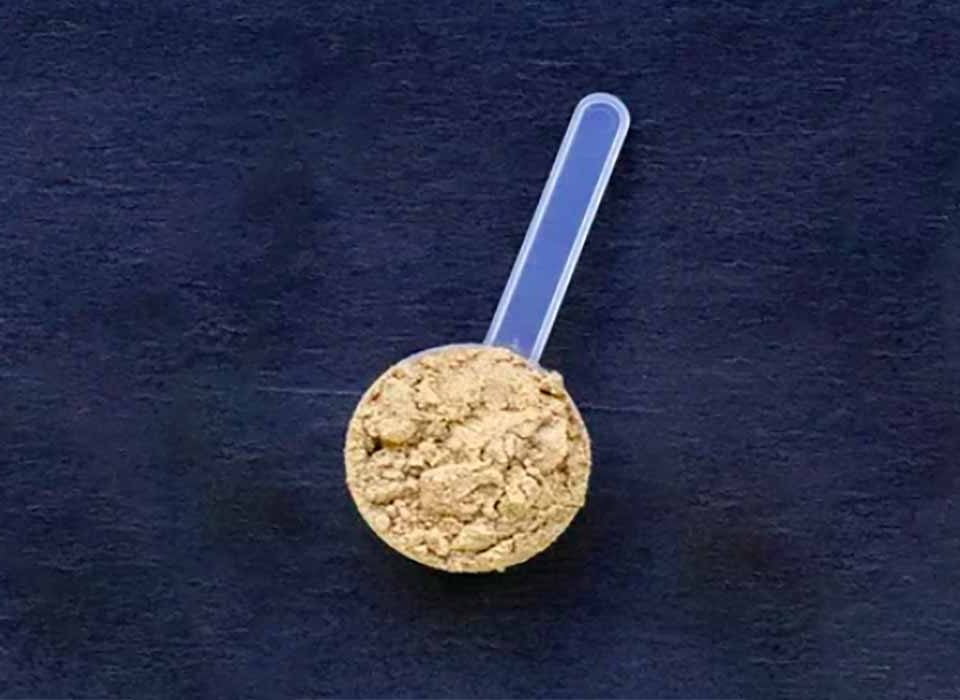 Como-fazer-Whey-Protein-Caseiro-para-dietas