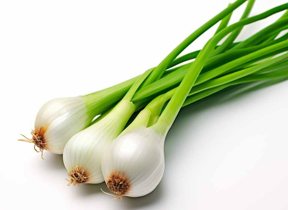 como-plantar-cebolinha-passo-a-passo