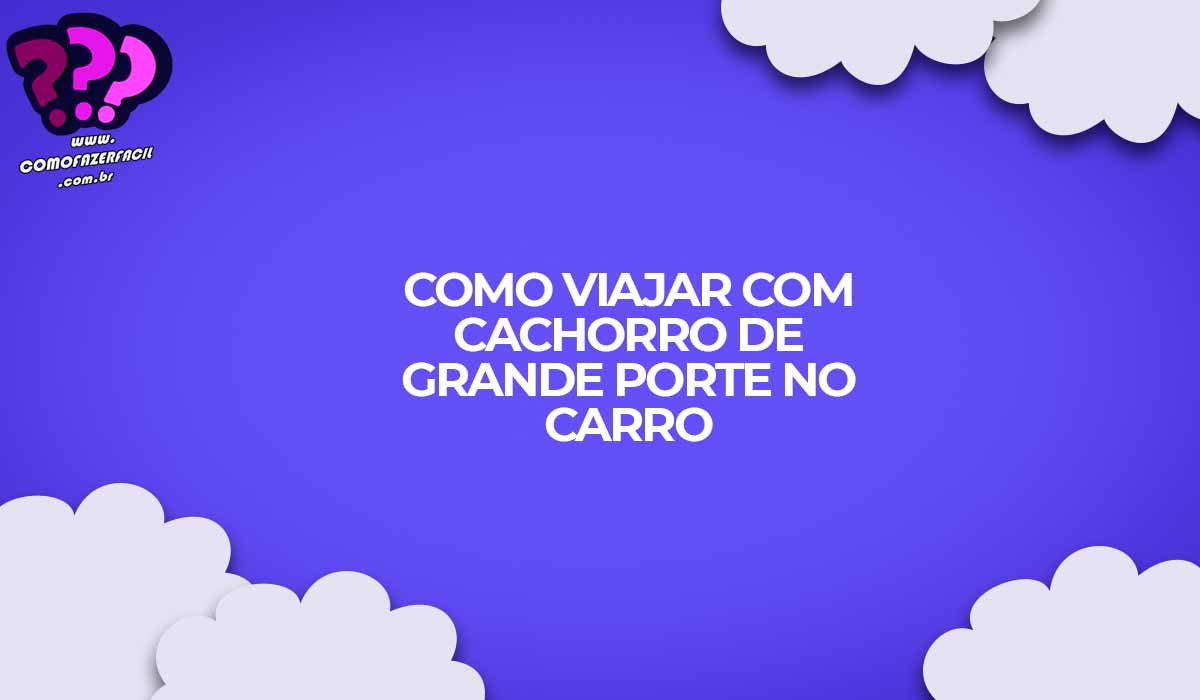 como fazer para viajar com cachorro de grande porte no carro