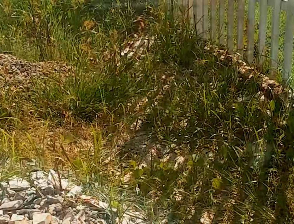 acabando-o-mato-com-sal