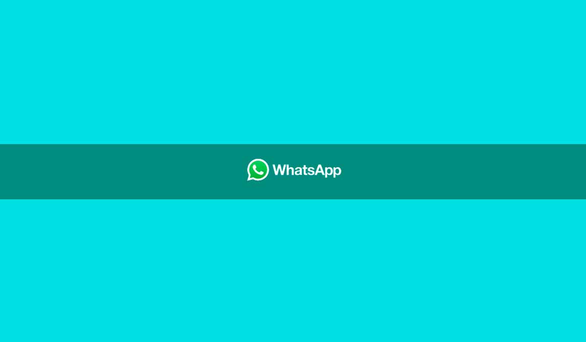 Todas as maneiras de entrar em contato com o suporte do WhatsApp.