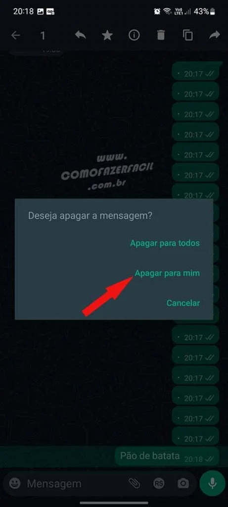 Apagando e desfazendo a exclusão da mensagem.
