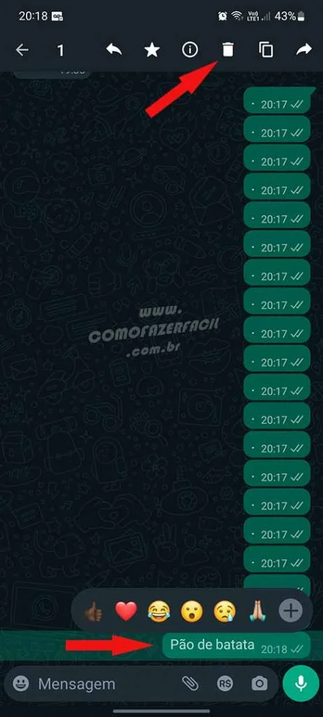 Recuperando mensagens apagadas no WhatsApp.