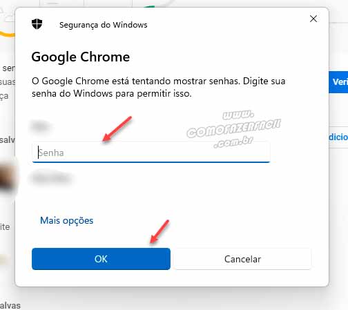 Liberando a visualização de senhas do Chrome inserindo a senha do Windows.