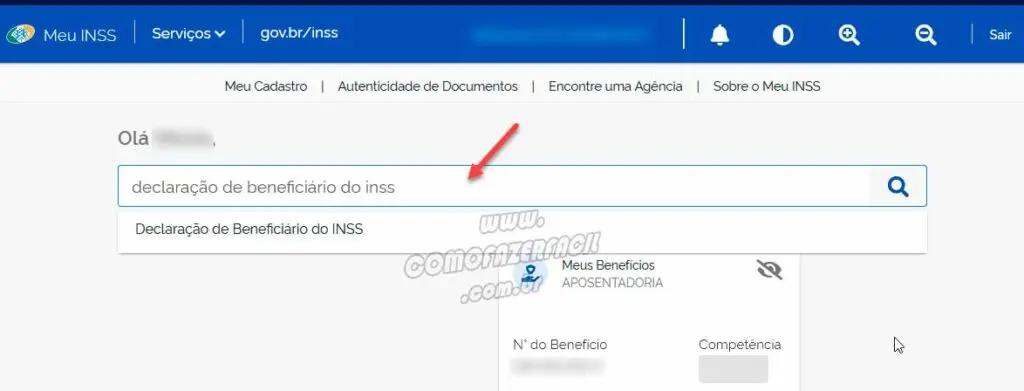 Pesquisando o serviço de declaração de benefícios do INSS.