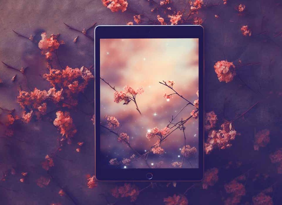 Como-baixar-videos-do-Instagram-Reels-muito-facil