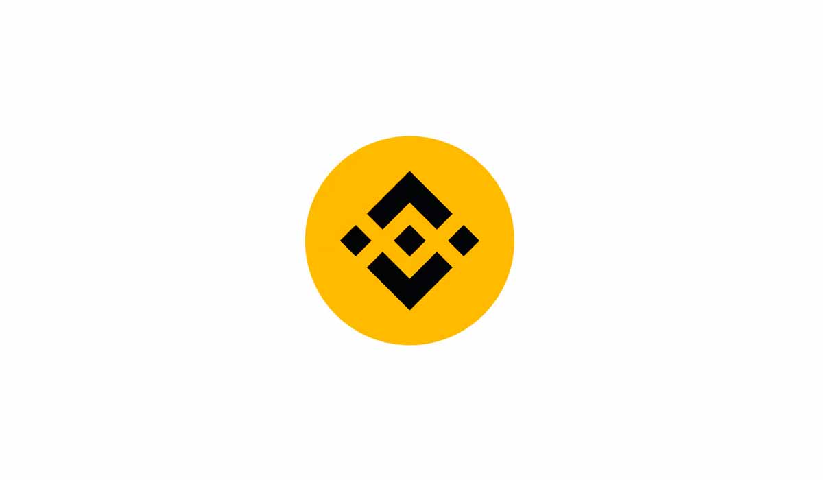 Como arrumar os números do extrato da Binance para declaração do imposto de renda.