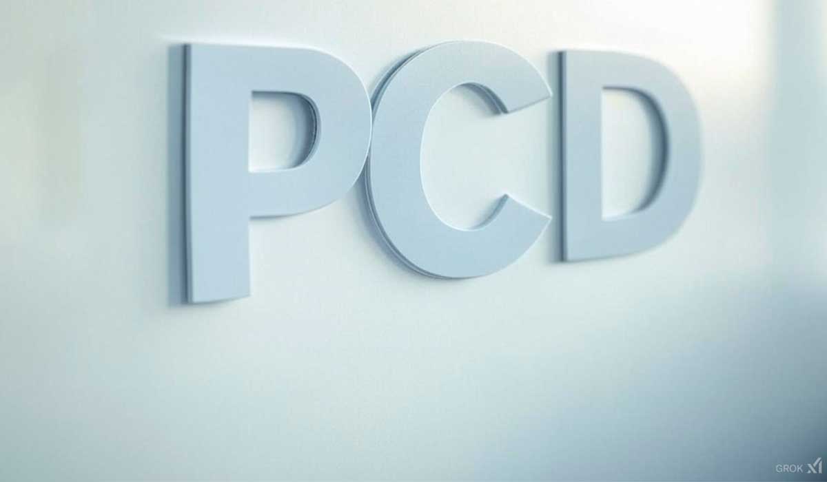 Como fazer o laudo do Detran para obter isenções PCD.