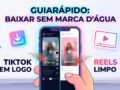 Como-Baixar-Videos-do-Instagram-e-TikTok-Sem-Marca-dagua-(Guia-Rapido)