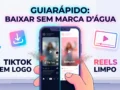 Como-Baixar-Videos-do-Instagram-e-TikTok-Sem-Marca-dagua-(Guia-Rapido)